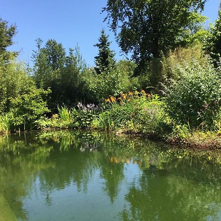 Huisje De Geluksvogel Zorgvlied Bagian luar foto