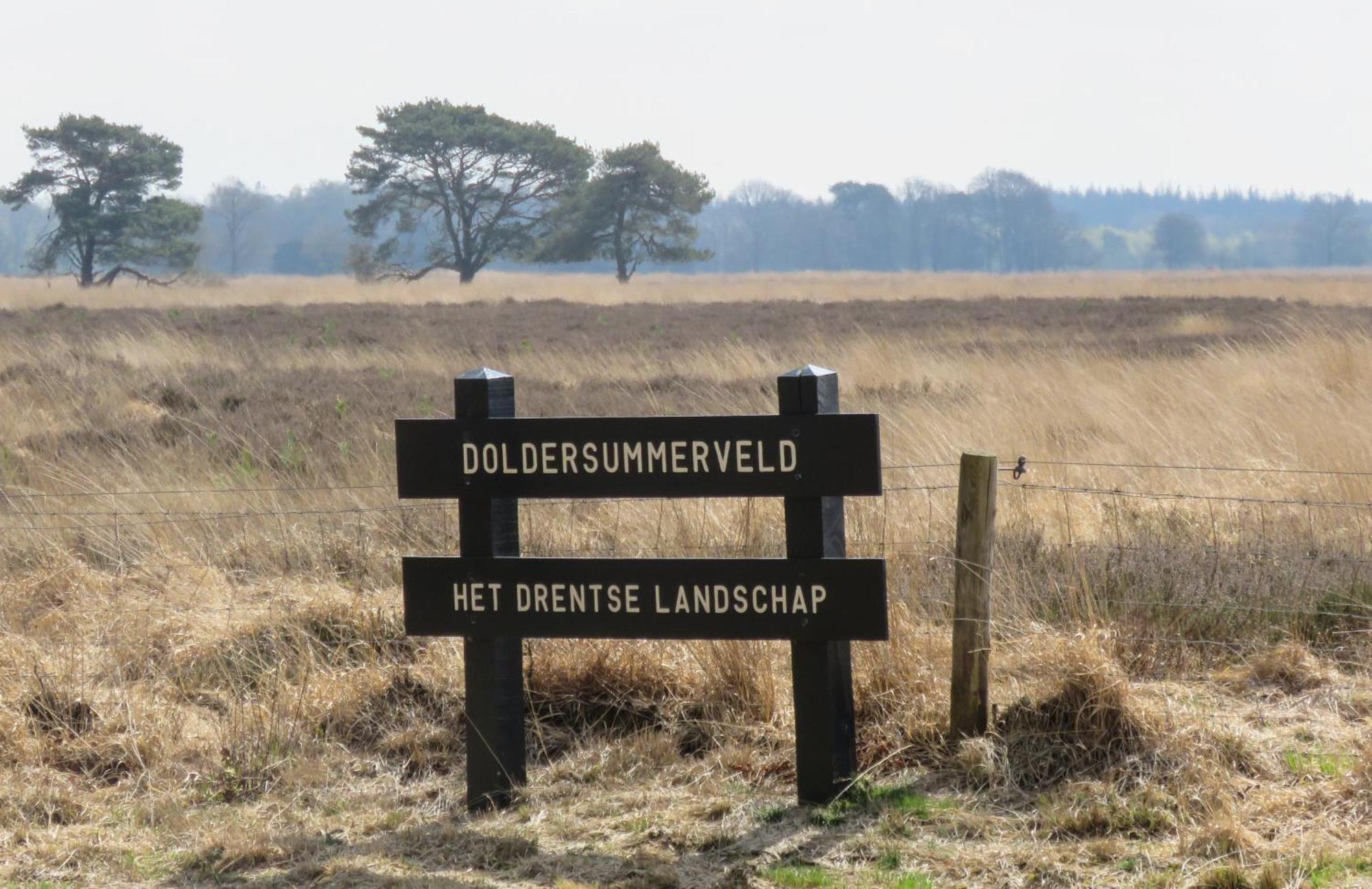 Huisje De Geluksvogel Zorgvlied Bagian luar foto