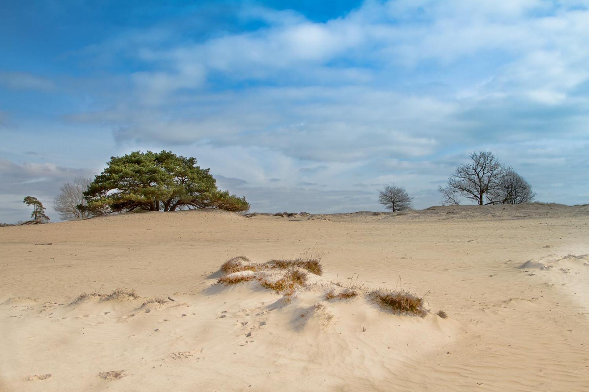 Huisje De Geluksvogel Zorgvlied Bagian luar foto