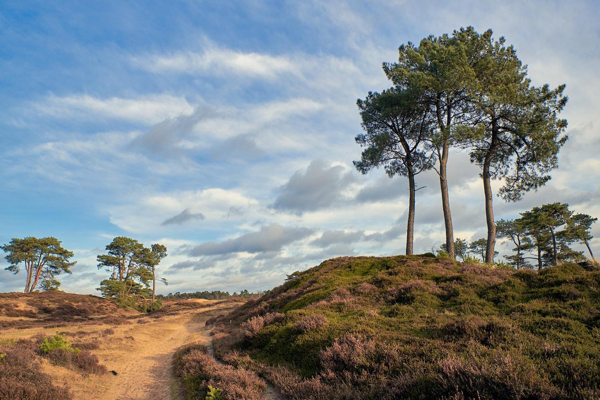 Huisje De Geluksvogel Zorgvlied Bagian luar foto
