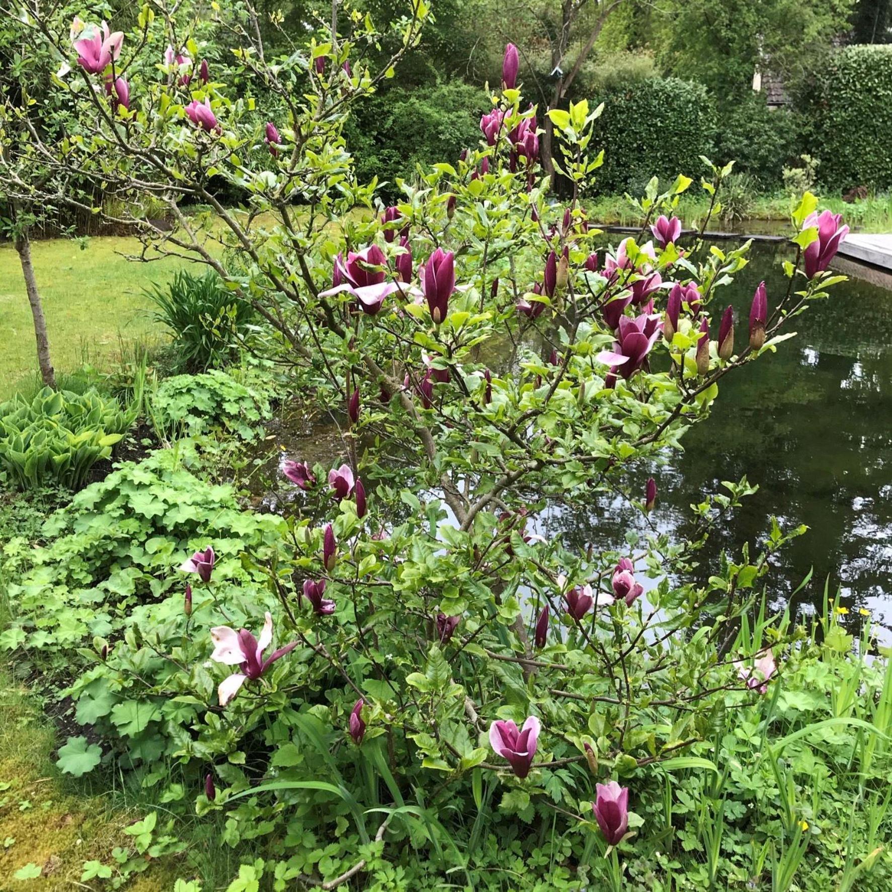 Huisje De Geluksvogel Zorgvlied Bagian luar foto