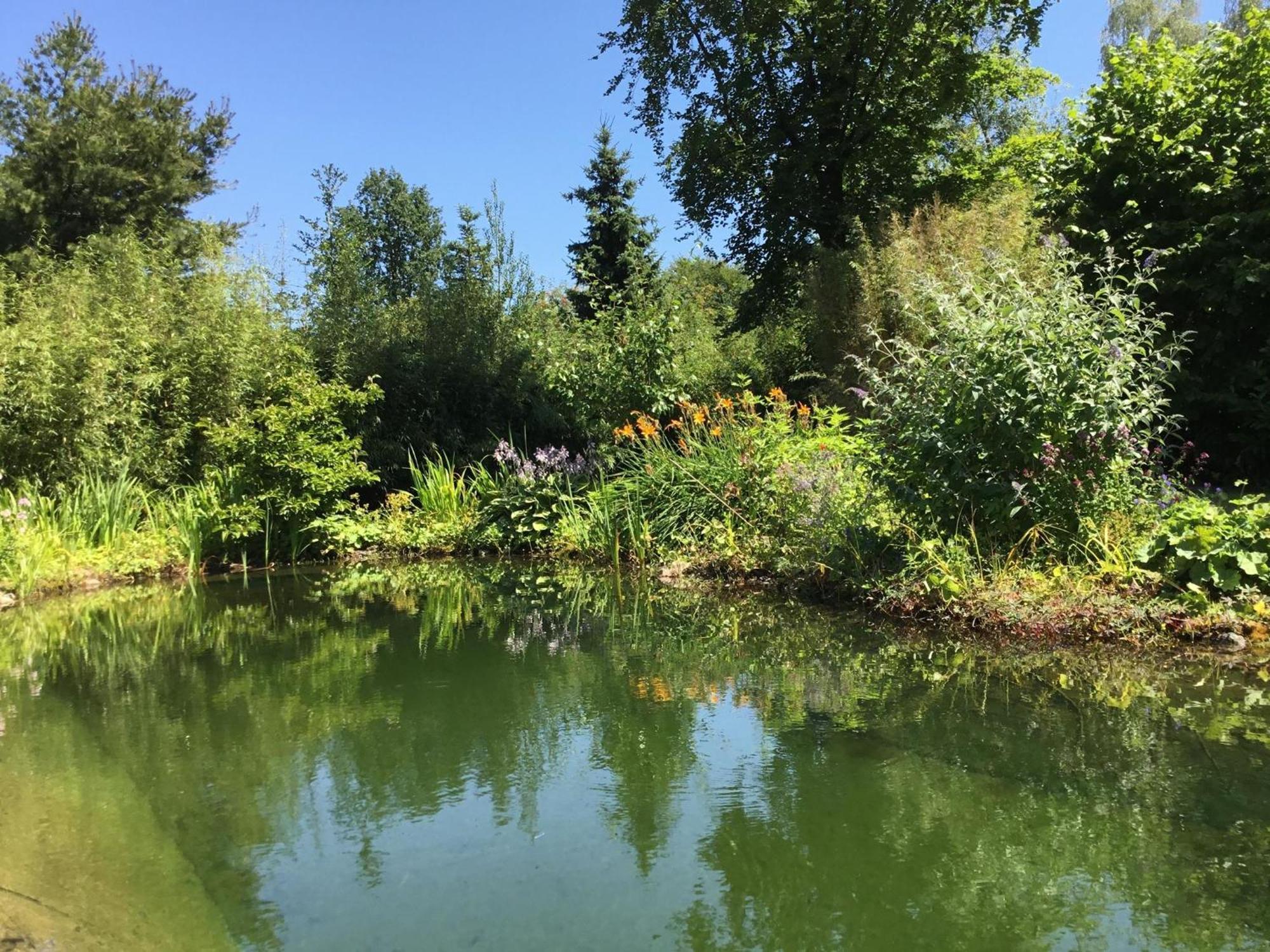 Huisje De Geluksvogel Zorgvlied Bagian luar foto